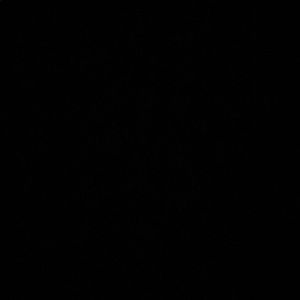 Meet your Posher, Elle